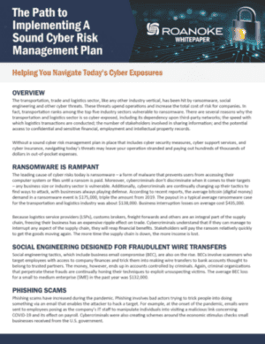 Roanoke Whitepaper – The Path to Implementing A Sound Cyber Risk Management Plan