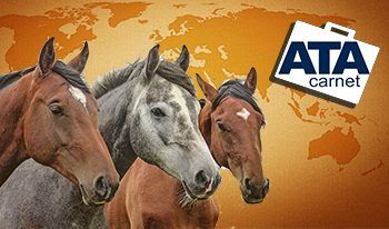 USCIB Announces Changes In Preparing ATA Carnets for Live Horses