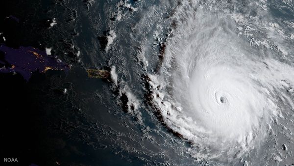 Hurricane Irma Claims Alert