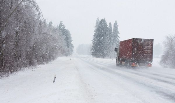 ‘Tis a Very Busy Season for this Holiday for Logistics Companies