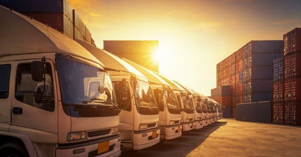 Cargo Insurance in Action: Covering Freight Damage On the Road